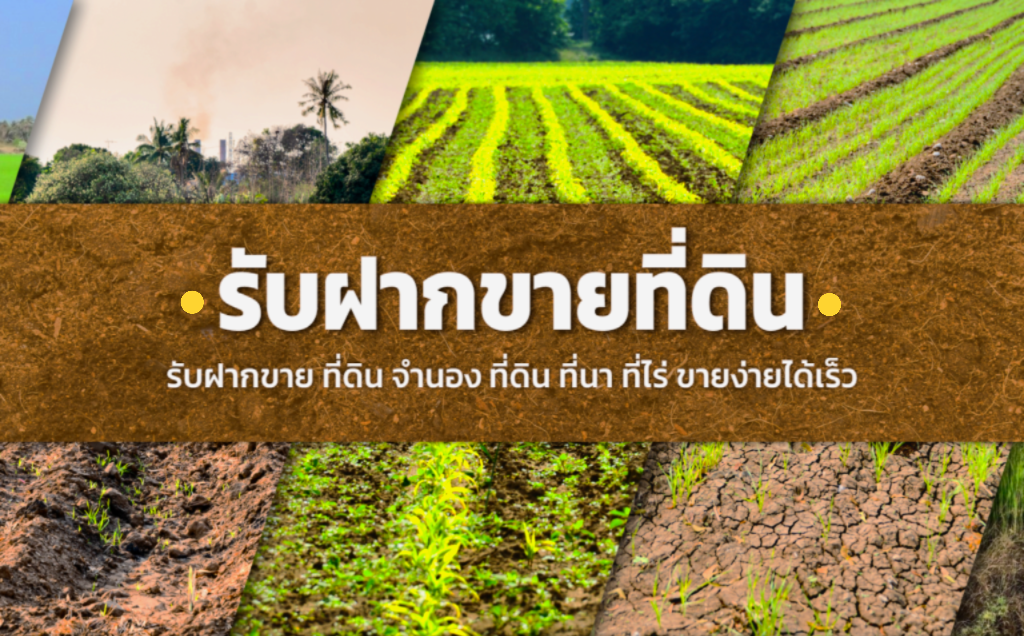 ขายที่ดิน